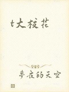 t大校花
