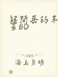 解开岳的丰满奶罩BD