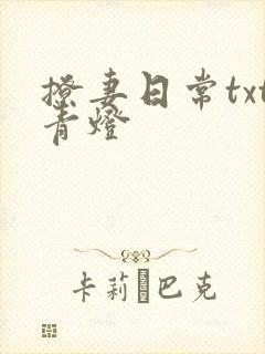 撩妻日常txt青灯