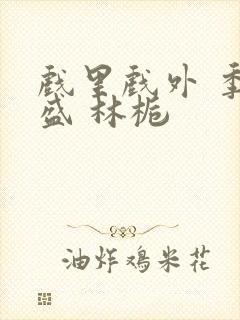 戏里戏外 季淮盛 林栀封面