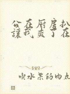 公在厨房扒开腿让我爽了在线观看