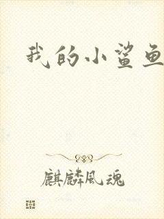 我的小鲨鱼