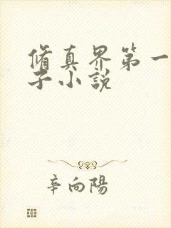 修真界第一病秧子小说