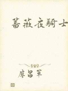 蔷薇夜骑士