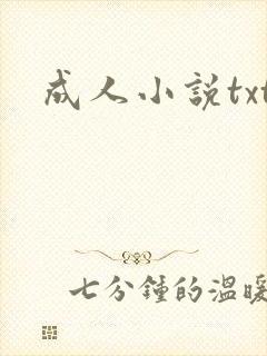 成人小说txt