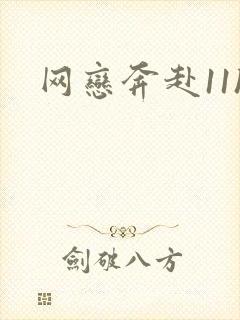 网恋奔赴11h封面