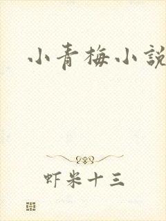 小青梅小说