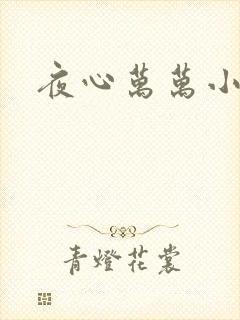 夜心万万小说