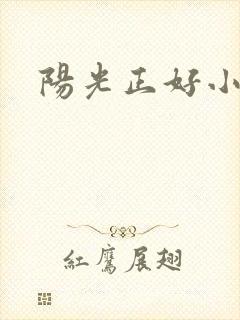 阳光正好小说