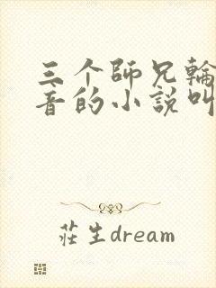 三个师兄轮流上音的小说叫什么