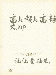 高h超h高辣h文np封面