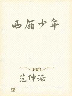 西厢少年封面