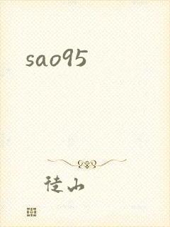 sao95封面