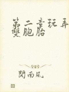 第二章玩弄校花双胞胎封面