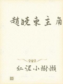 赵晓东主角小说