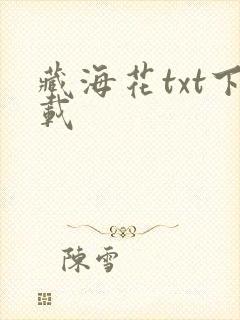 藏海花txt下载