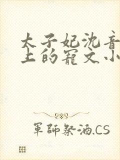 太子妃沈音和皇上的宠文小说