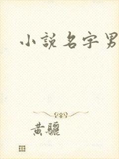 小说名字男生封面