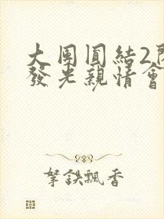 大团圆结2闪闪发光亲情会