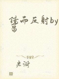 镜面反射by九葛