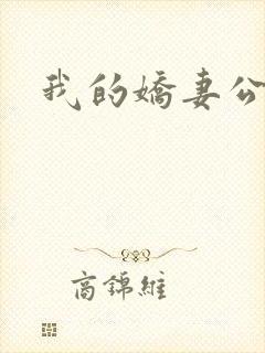 我的娇妻公务员
