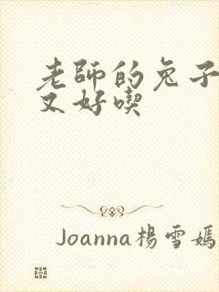 老师的兔子又大又好吃封面
