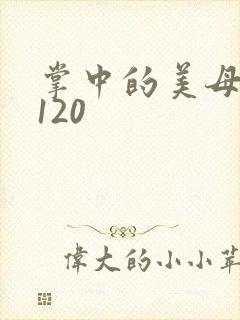 掌中的美母版主120