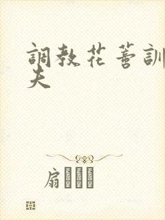 调教花蒂训诫从夫封面