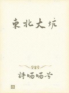 东北大坑封面