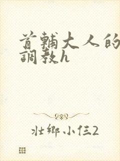 首辅大人的花式调教h