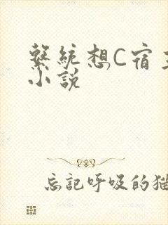 系统想C宿主的小说