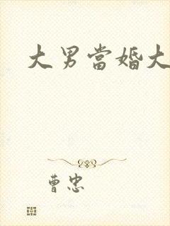 大男当婚大结局封面