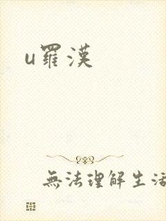 u罗汉封面