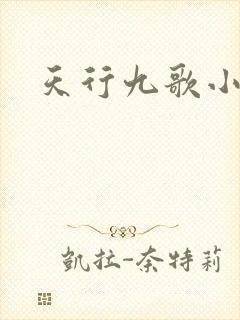 天行九歌小说