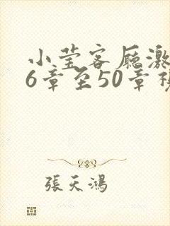 小莹客厅激情46章至50章视