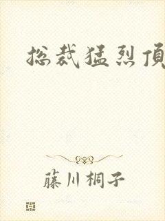 总裁猛烈顶弄h