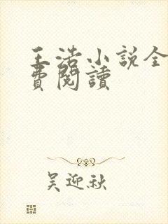 王浩小说全文免费阅读封面