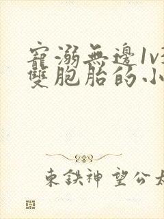 宠溺无边1v3双胞胎的小说