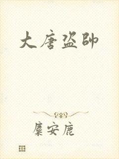 大唐盗帅封面