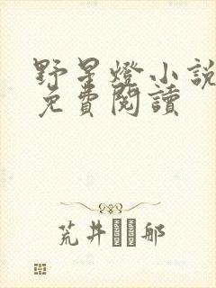 野星灯小说全文免费阅读
