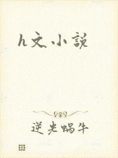 h文小说