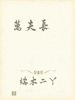 万夫长