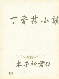 丁香花小说封面
