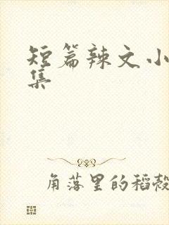短篇辣文小说合集