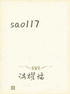 sao117封面