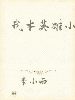 我本英雄小说