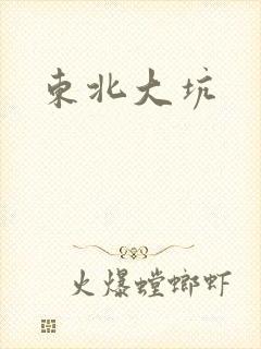 东北大坑封面