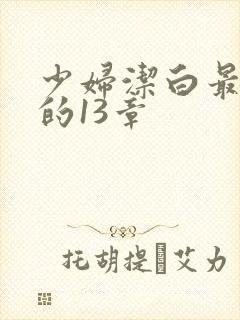 少妇洁白最刺激的13章