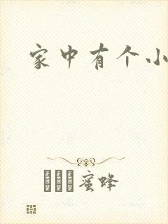 家中有个小姨子封面