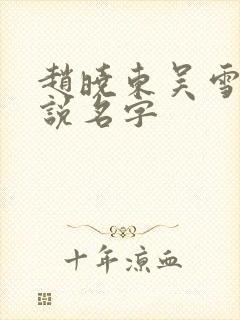 赵晓东吴雪晴小说名字